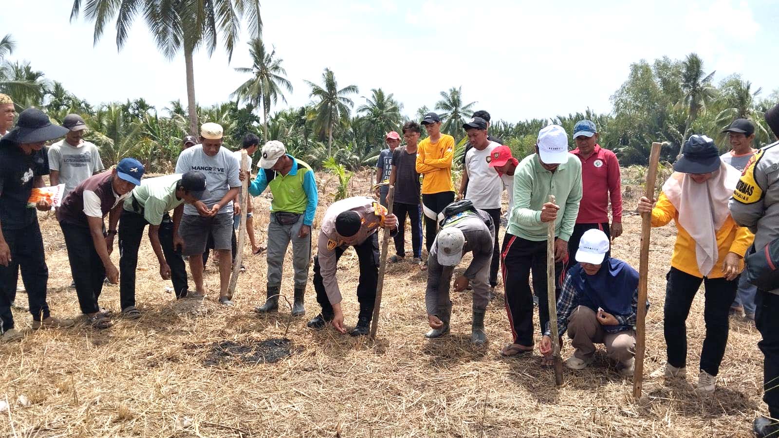 Polsek Nipah Panjang Launching Program Penanaman Jagung Serentak 1 Desa 1 Hektar di Desa Pemusiran